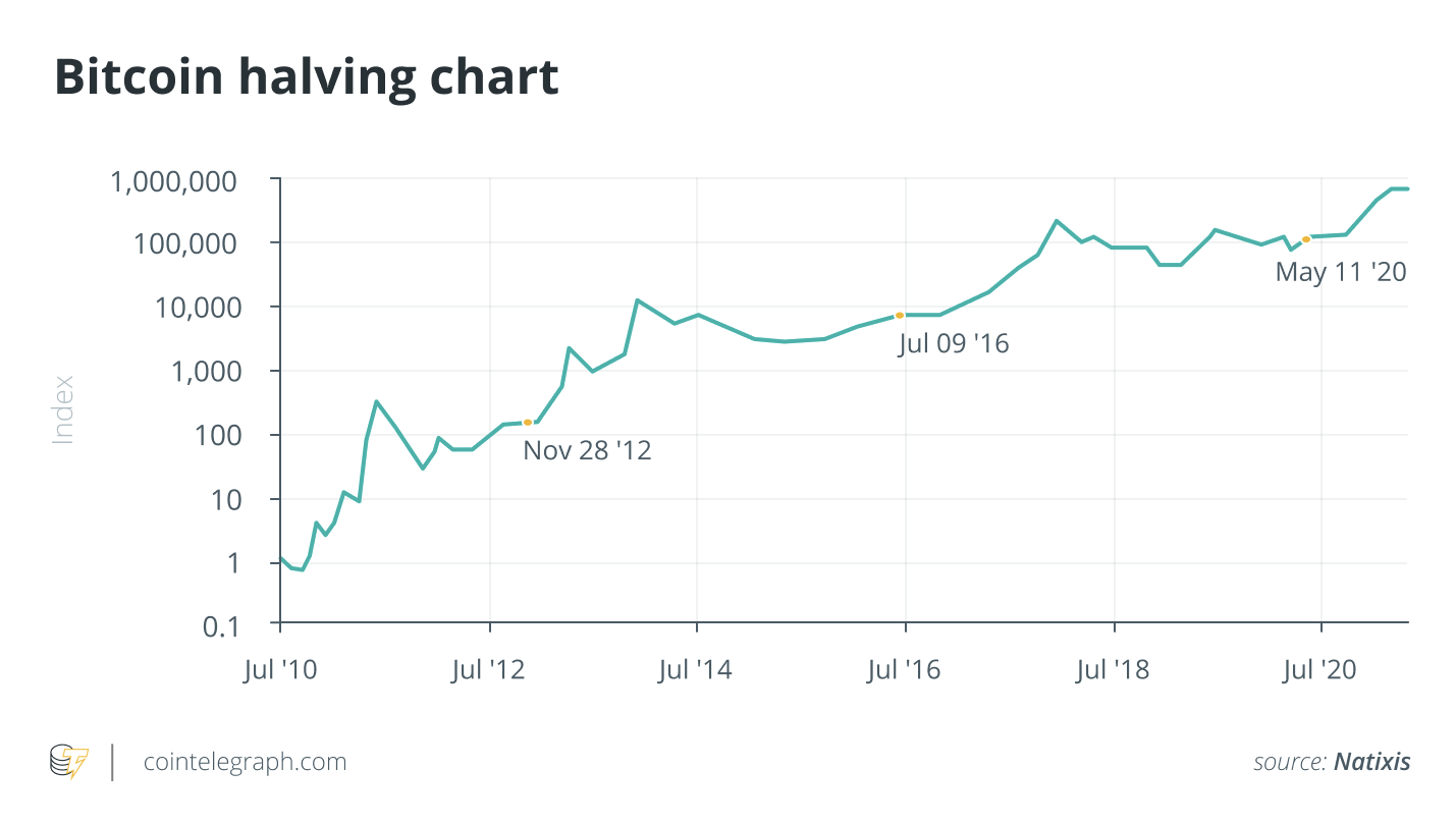 Bitcoin halving date bet vs. Groundhog prediction: Choose your fighter –  SUPEREX