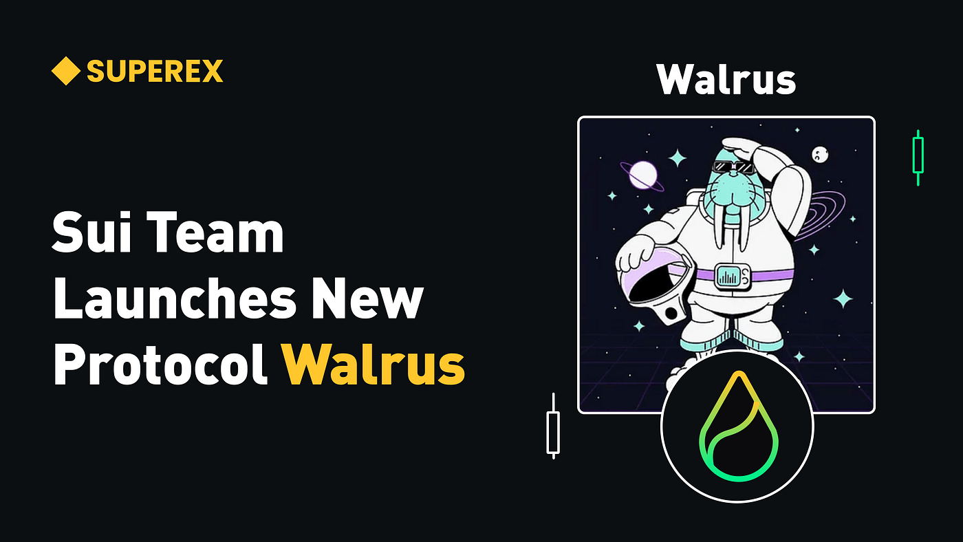 SuperEx丨Sui Team Launches New Protocol Walrus, Aiming to Surpass Filecoin –  SUPEREX