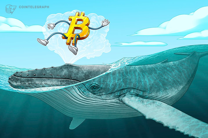 Bitcoin whale accumulation suggests that the pre-halving BTC rally will continue