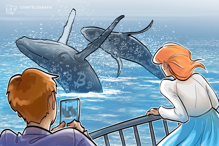 What are Bitcoin whales and how to spot them? 