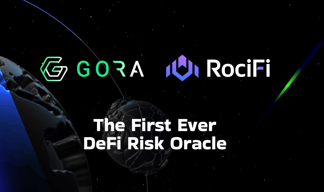 Gora and RociFi are merging to introduce the DeFi Risk Oracle. Source: Gora