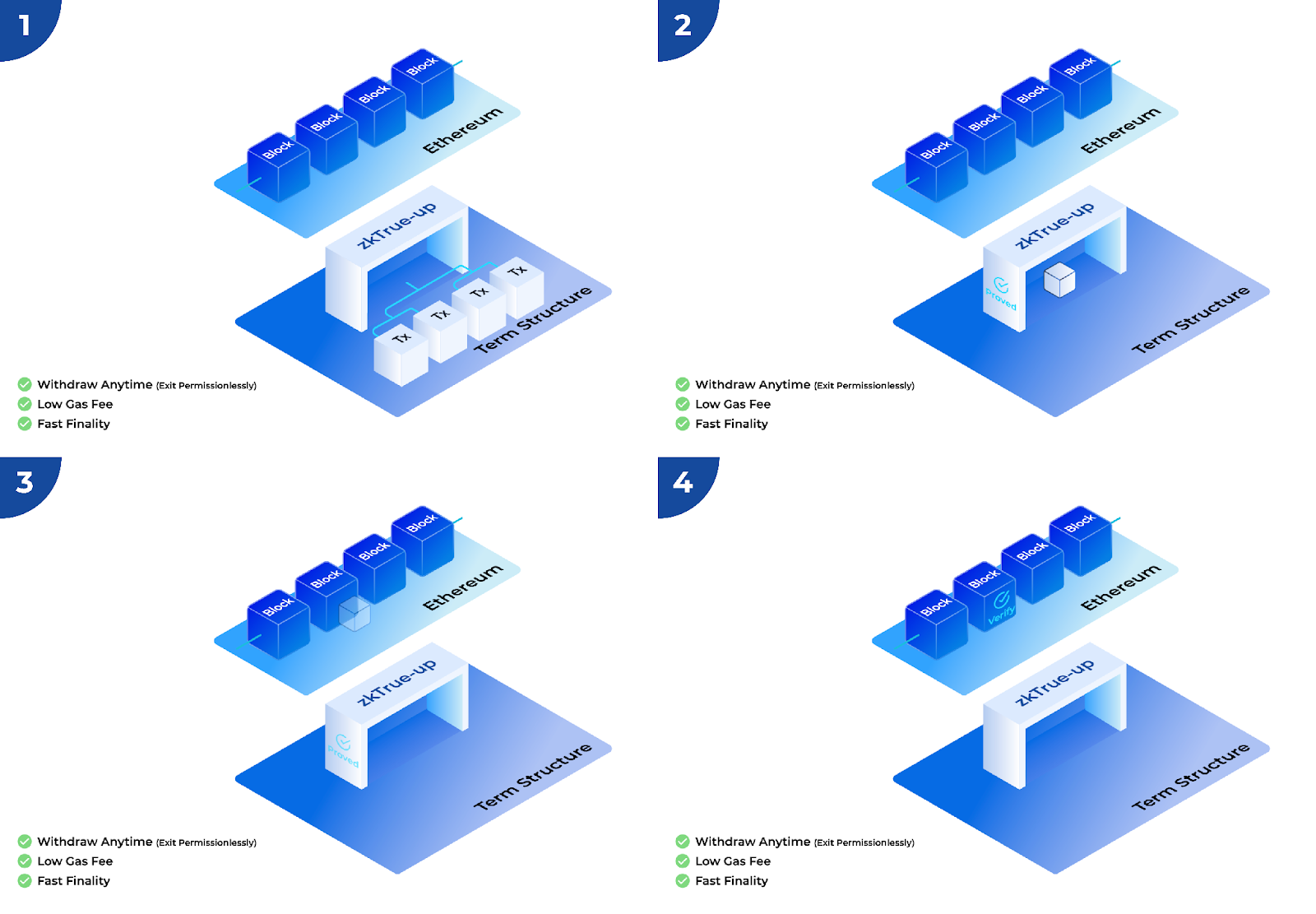 Term Structure