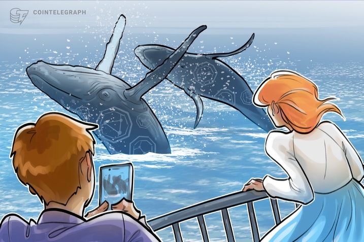 'Whales are preparing for the next altcoin rally' — CryptoQuant founder