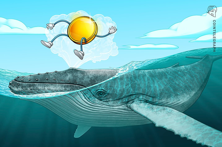 Whales prepare for next altcoin rally, DeFi is ‘waking up’ — Finance Redefined 