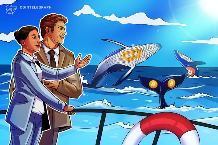 Bitcoin whale transactions hit highest level in 4 months amid crypto dip